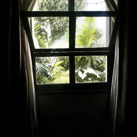 Slow Living *